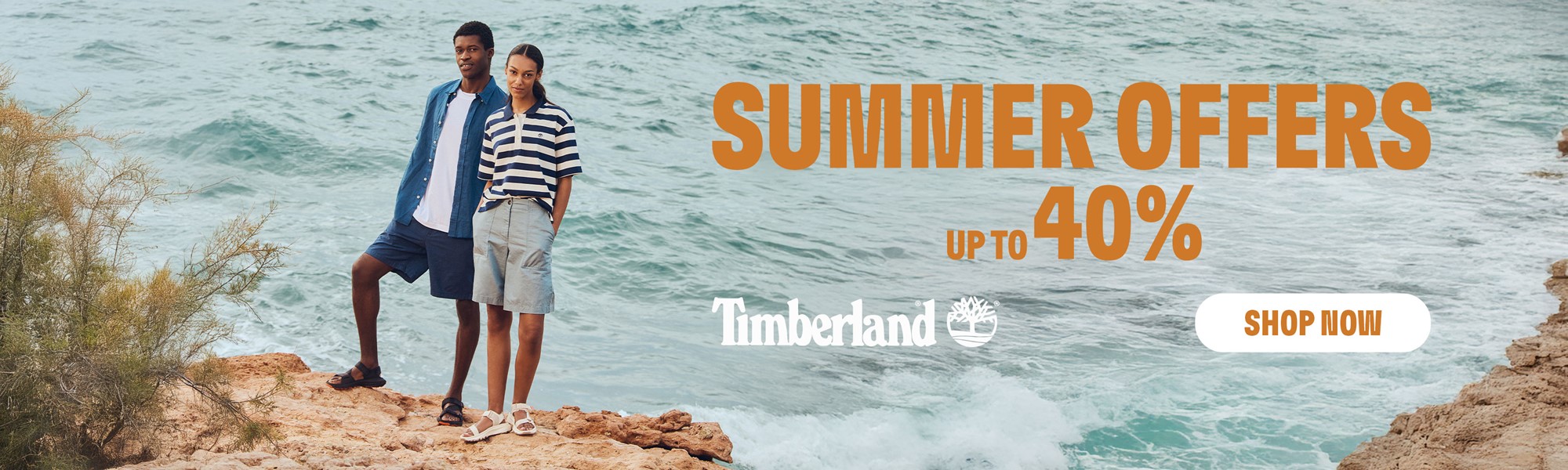 Summer Offers